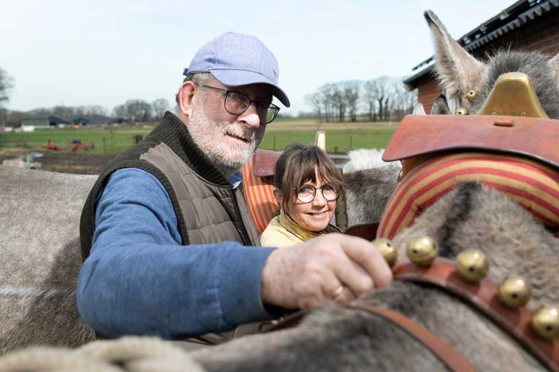 Bernad en Jolanda spannen hun muildieren aan met een origineel Spaans tuig, compleet met hamen en belletjes.